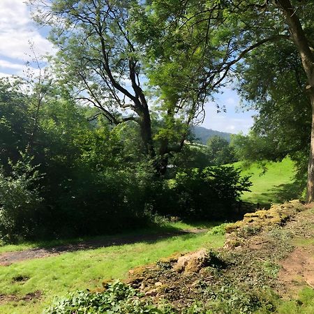 The Spring Slad Valley Cotswolds Painswick Zewnętrze zdjęcie