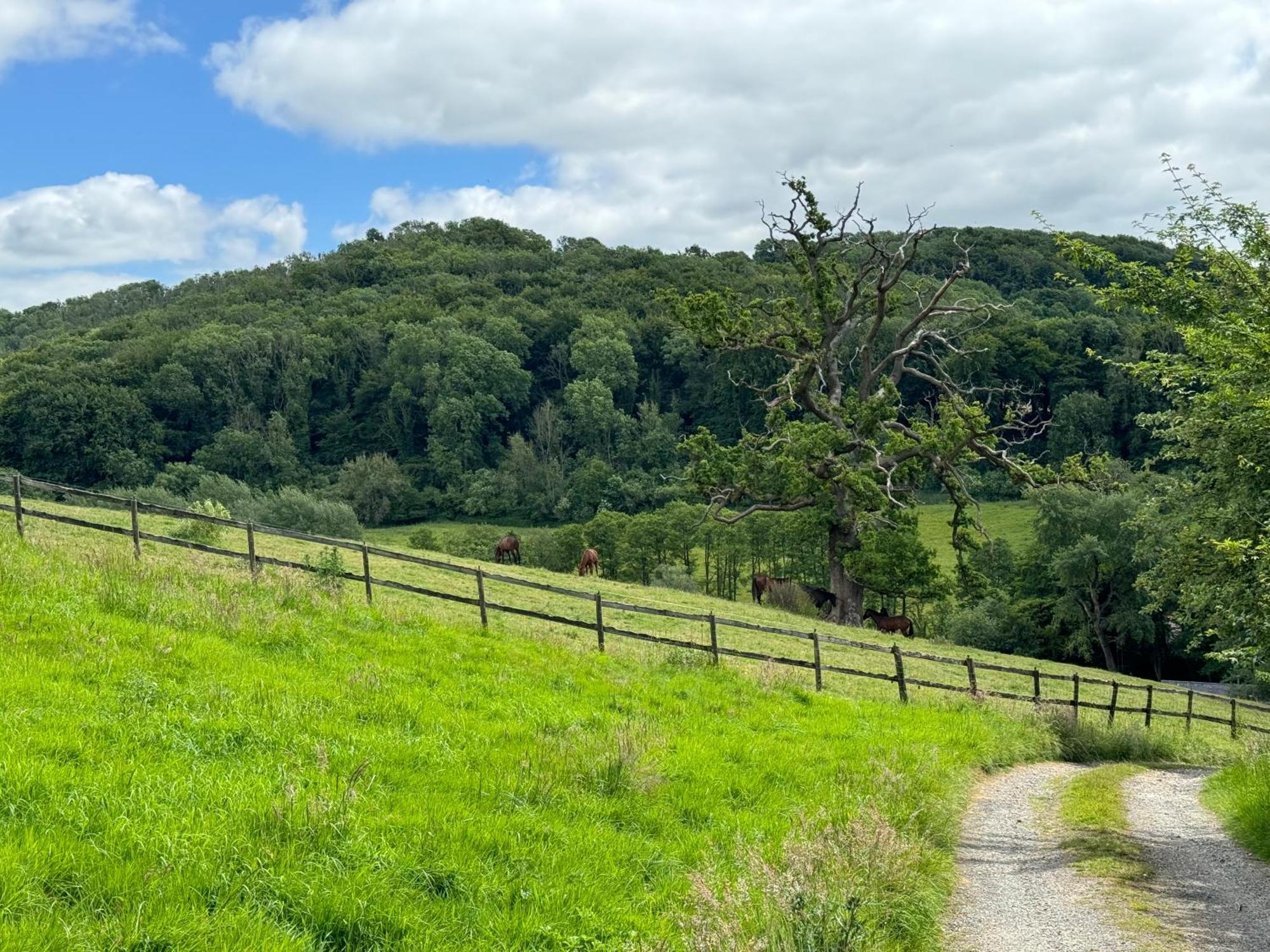 The Spring Slad Valley Cotswolds Painswick Zewnętrze zdjęcie